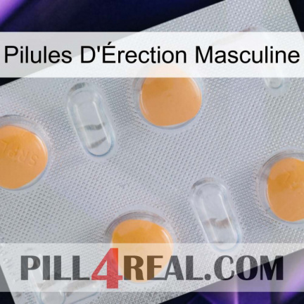 Male Erection Pills 24